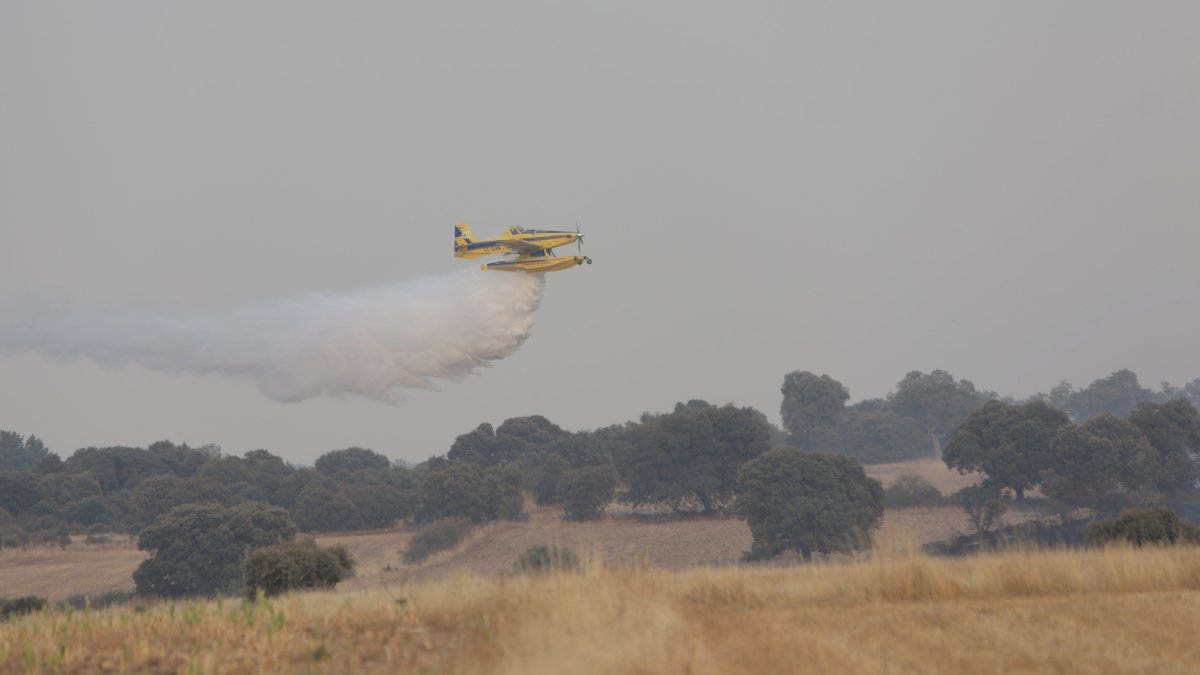 Incendio entre Malillos y la Cernecina en Zamora