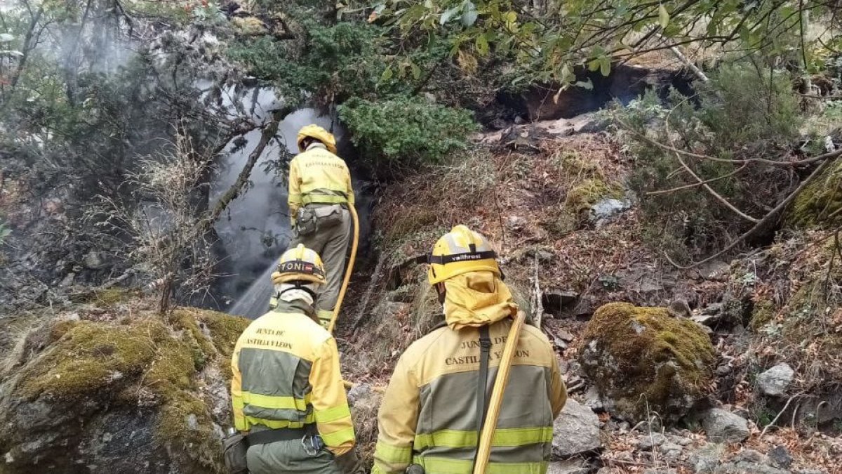 Bomberos forestales en el fuego de Porto