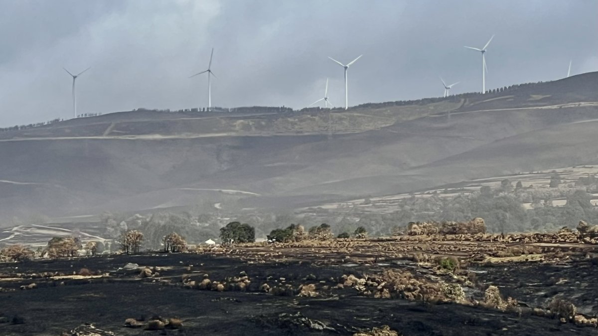 La consejera de Agricultura, Ganadería y Desarrollo Rural, María González Corral, visita una ganadería de ovino afectada por los incendios en Chana de Somoza, en el municipio de Lucillo (León)