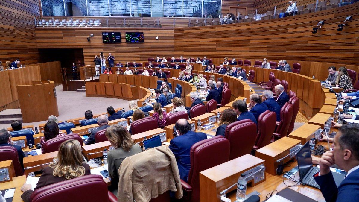 Votación durante el pleno de las Cortes.
