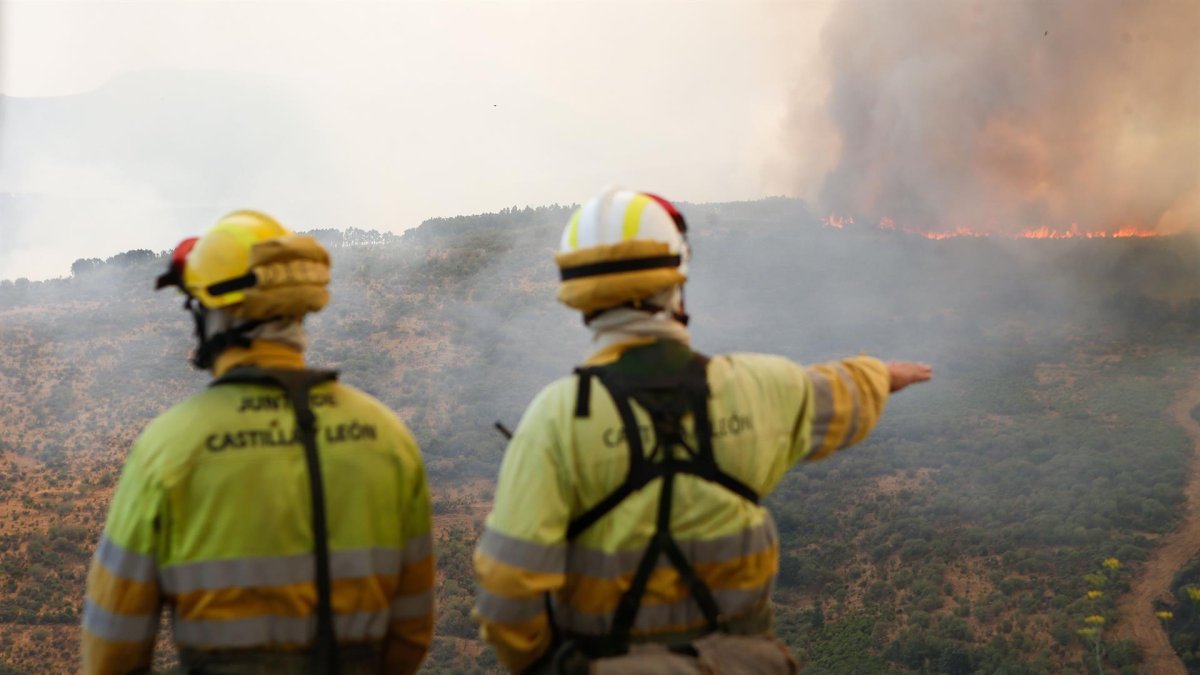 Bomberos forestales en un incendio en Castilla y León