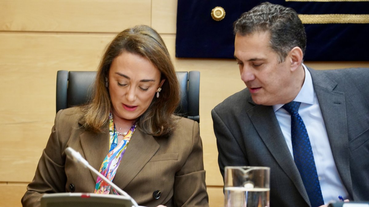 La consejera de Agricultura, Ganadería y Desarrollo Rural, María González Corral, comparece en las Cortes para informar sobre el proyecto de ley de Presupuestos de su departamento.