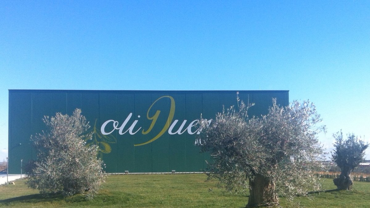 Almazara Oliduero en Medina del Campo (Valladolid)