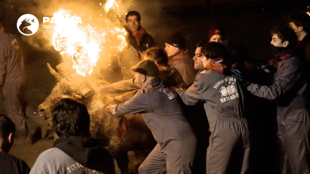 Celebración del Toro Júbilo en Soria