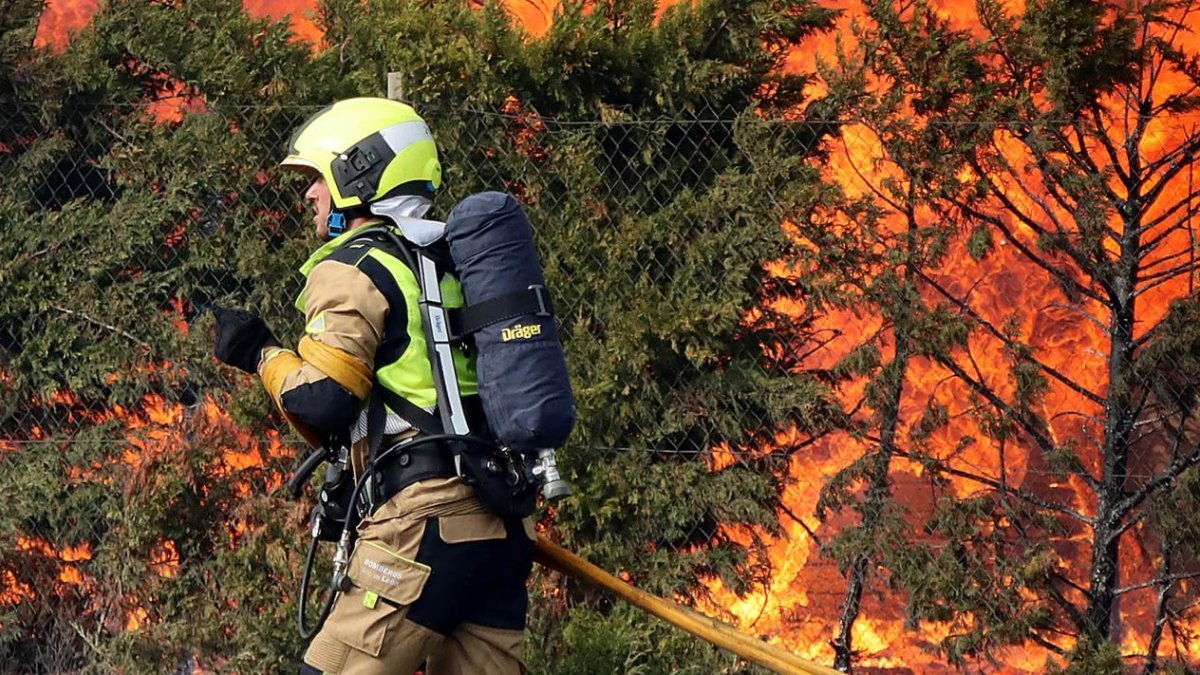Incendio forestal en Castilla y León en una imagen de archivo.