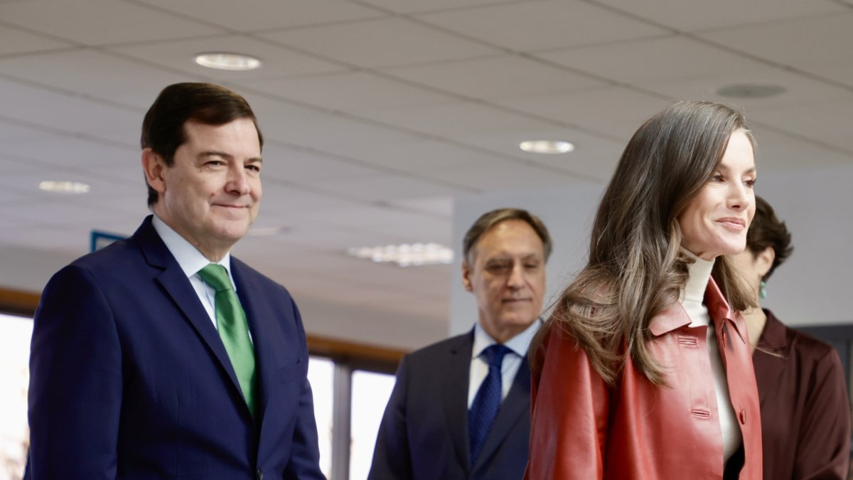 La reina Letizia acude a la reunión del Consejo Del Real Patronato sobre Discapacidad en la celebración del Día Internacional de la Discapacidad.
