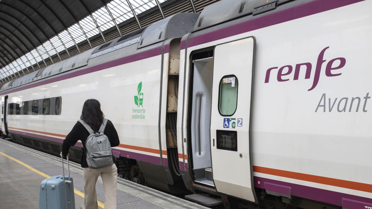 Persona accediendo a un tren de Renfe, en una imagen de archivo.