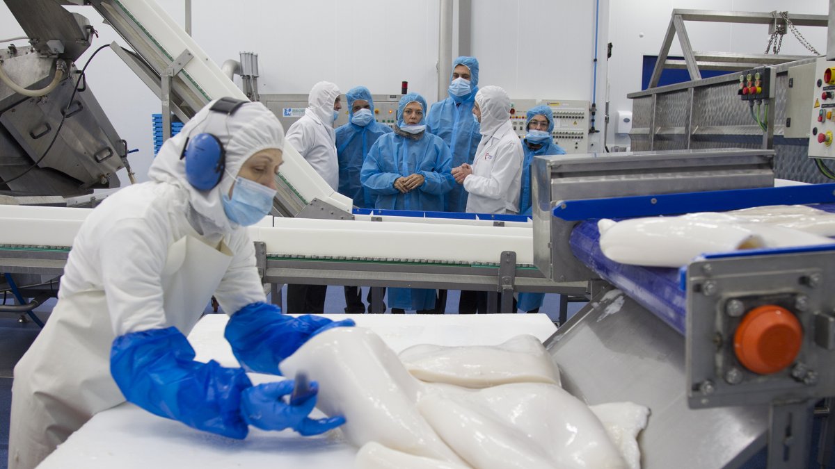 Instalaciones de Freigel en Zamora.