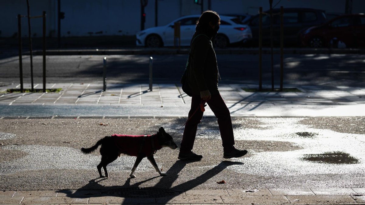 Una mujer pasea con un perro por la calle   