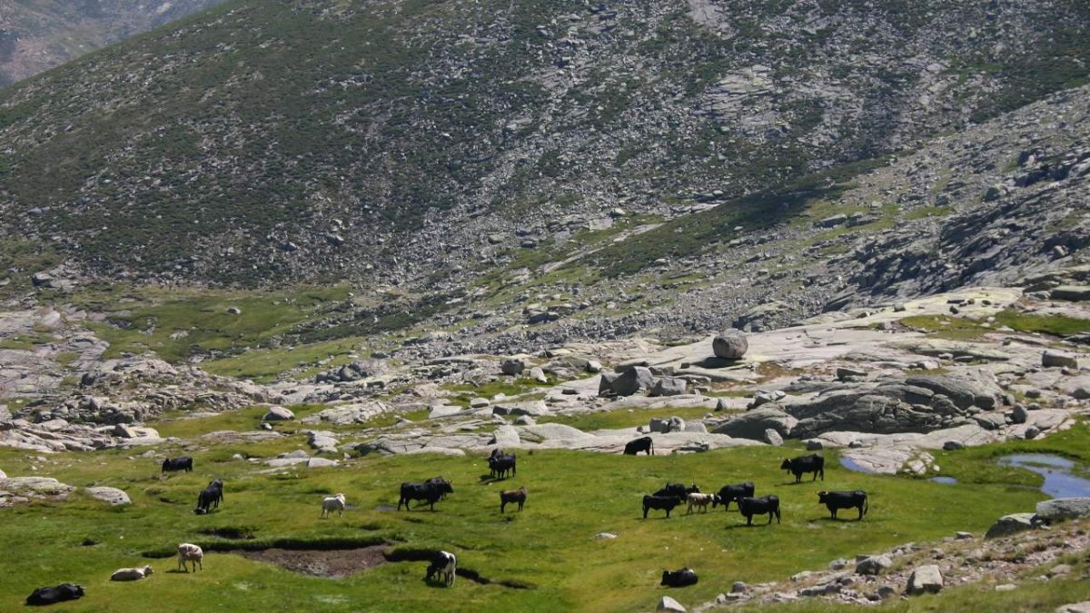 Parque Regional de la Sierra de Gredos