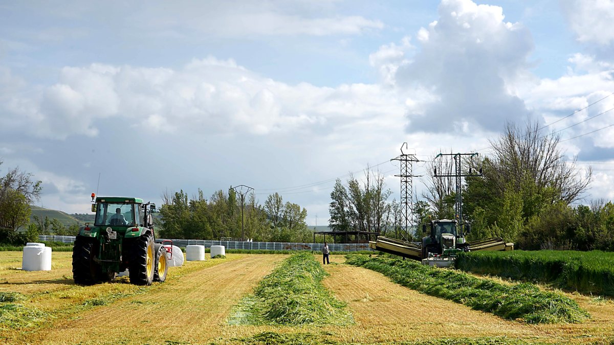 Siega de alfalfa en una explotación agrícola de Tierra de Campos (Valladolid).