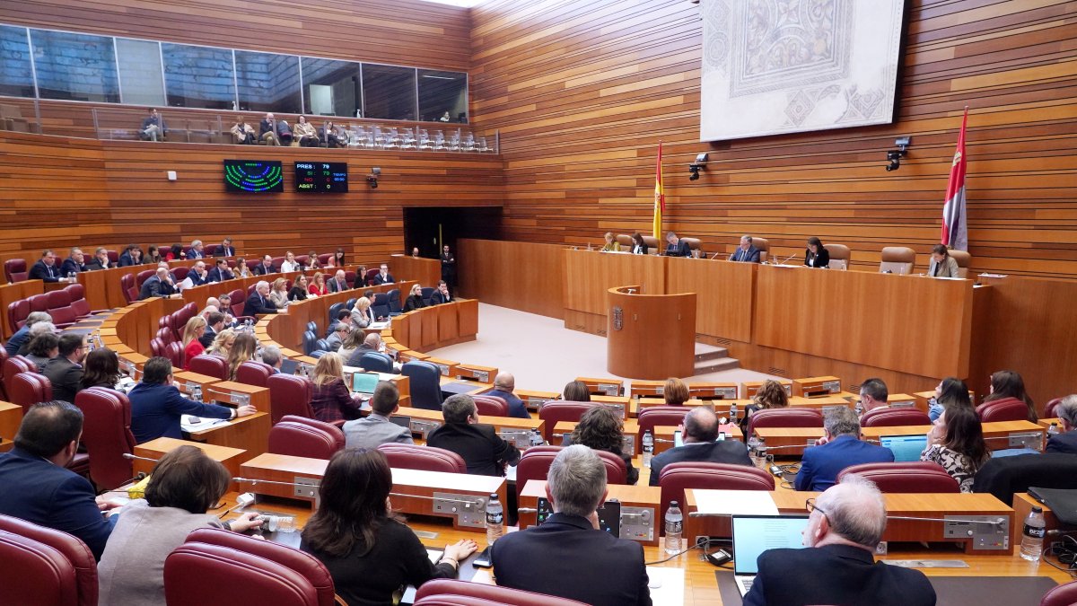 Votación en la segunda sesión del pleno de las Cortes de Castilla y León.