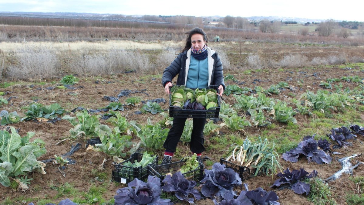 Eva de Arce ha convertido una parte de la huerta en un aula de formación ambiental