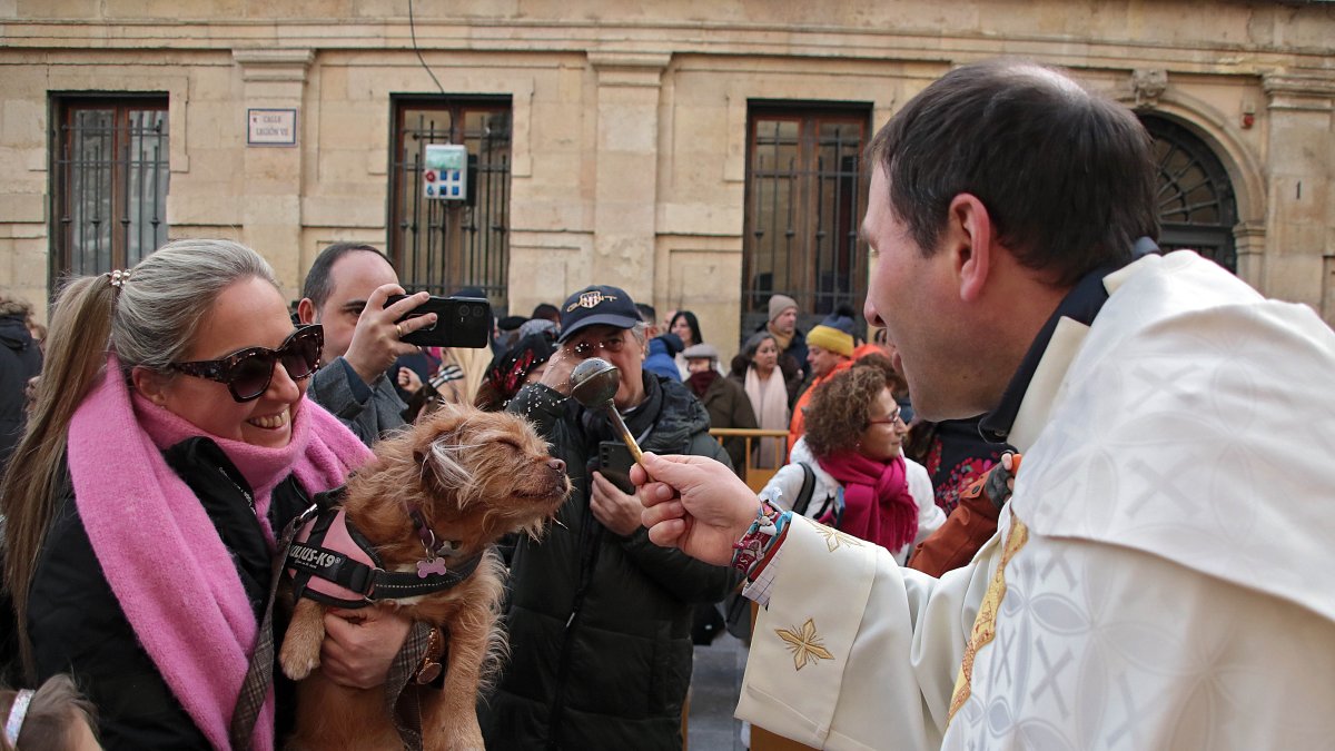 San Antón reúne a decenas de mascotas en León para la tradicional bendición de animales