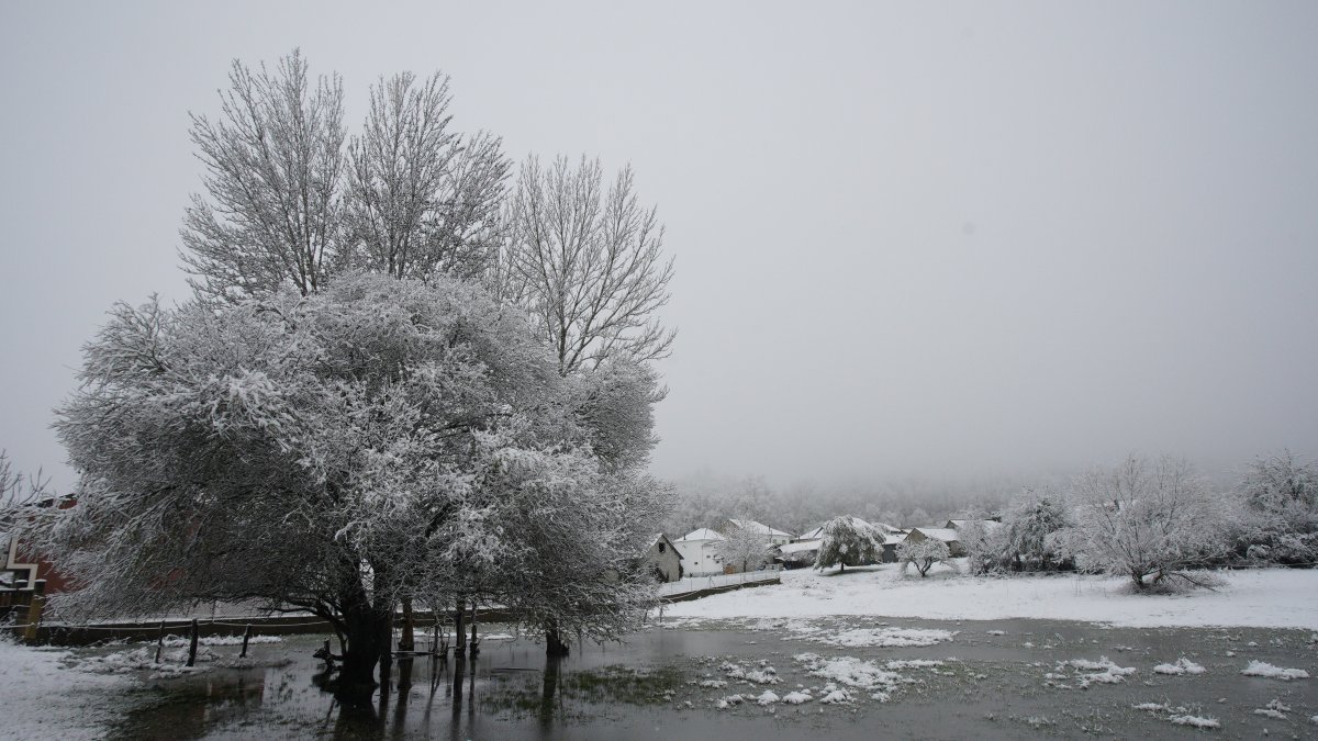 Temporal de nieve en El Bierzo