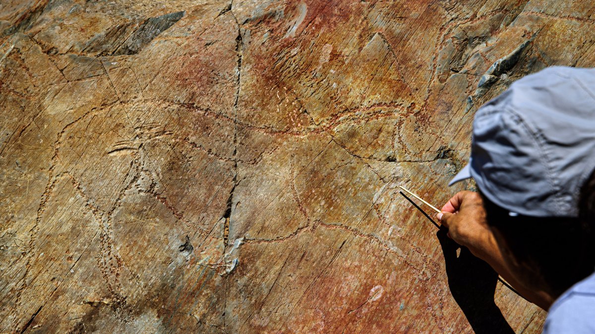 Siega Verde exhibe su yacimiento Patrimonio Mundial en Fitur con ponencias y talleres divulgativos
