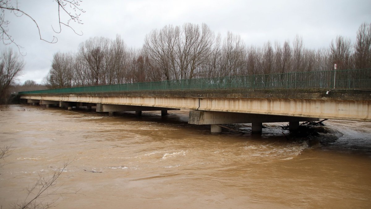 El río Esla se desborda a su paso por Villalobar (León)