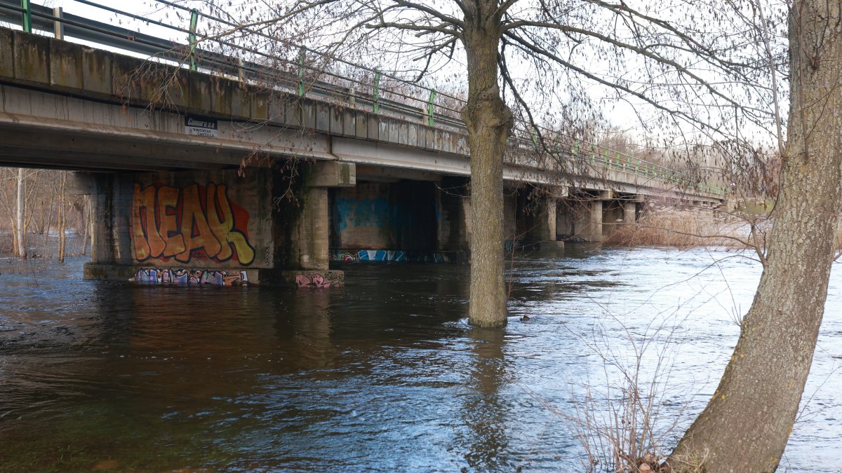 Río Tera a su paso por Mozar de Valverde