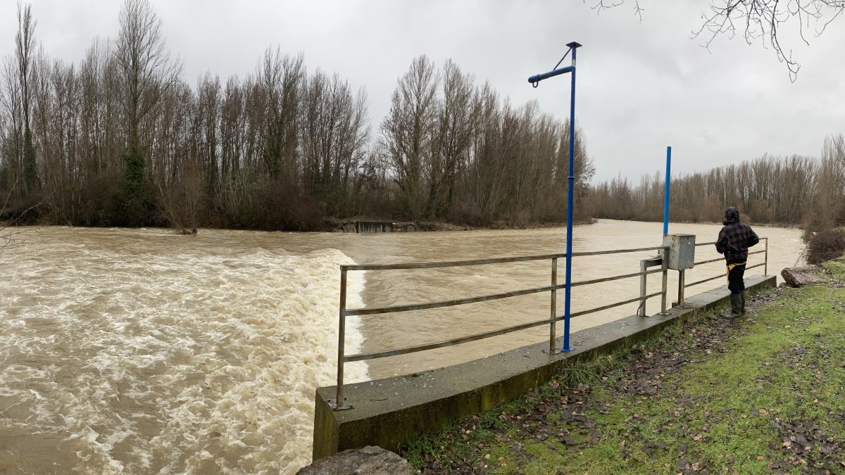 Crecida del río Bernesga a la altura de Carbajal de la Legua (León)