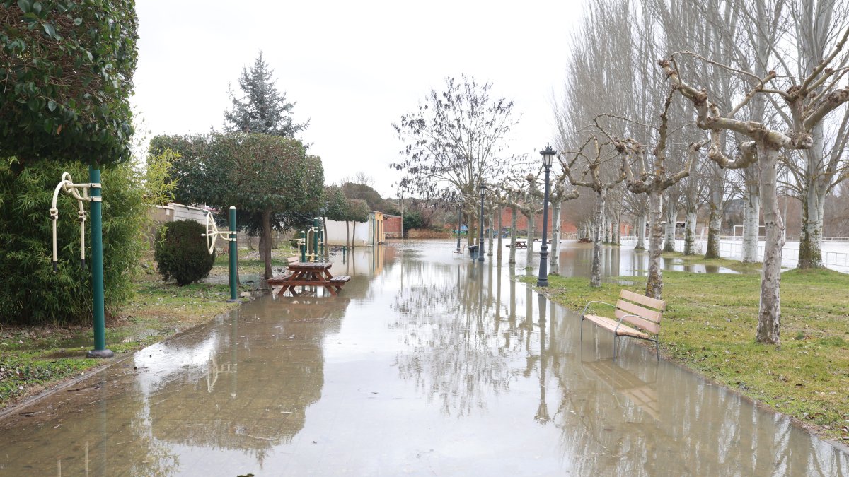 Crecida del Río Orbigo a su paso por Villabrazaro