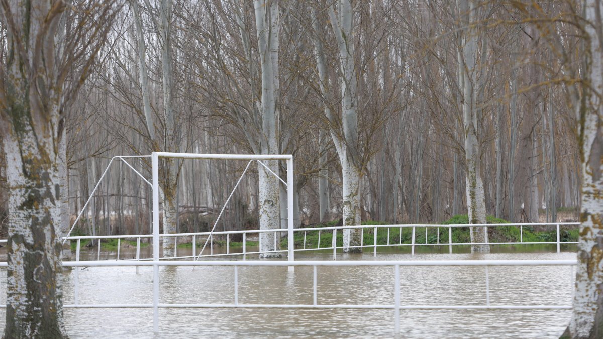 Crecida del Río Orbigo a su paso por Villabrazaro