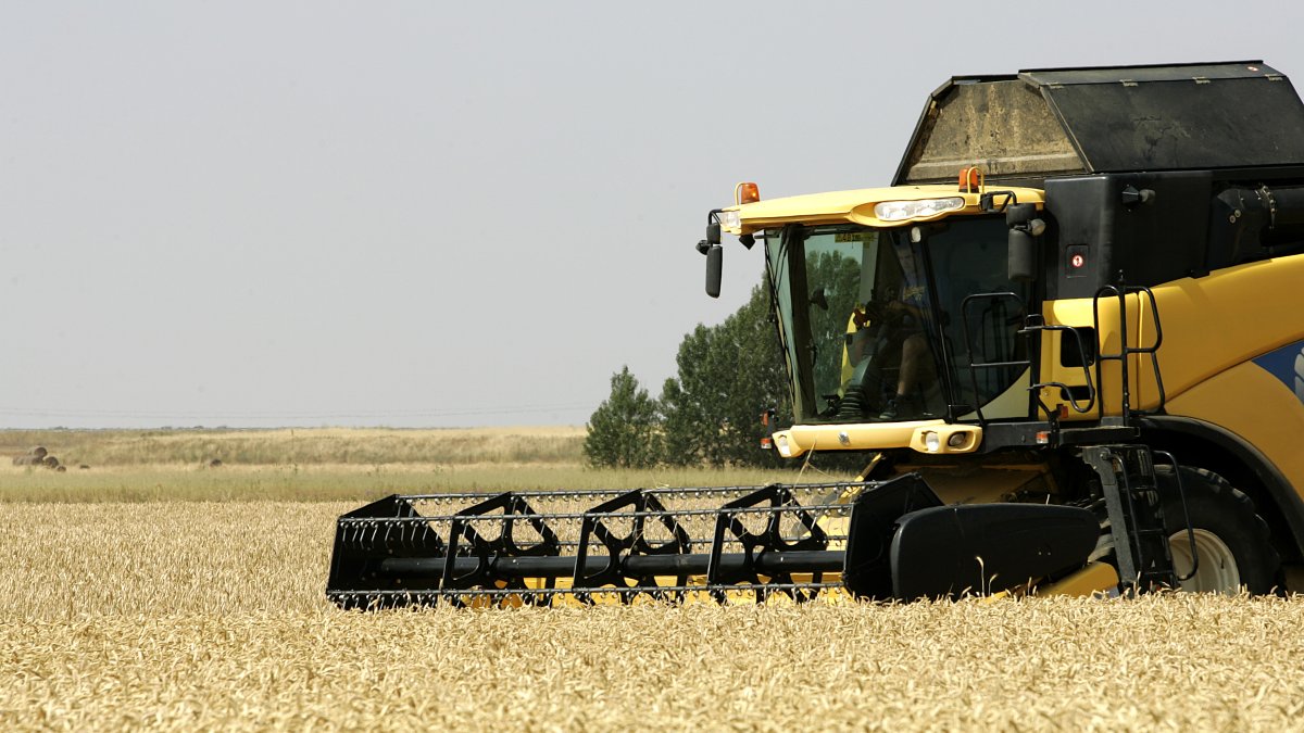 Una máquina cosecha trigo en la localidad leonesa de Calzada del Coto, en una imagen de archivo.