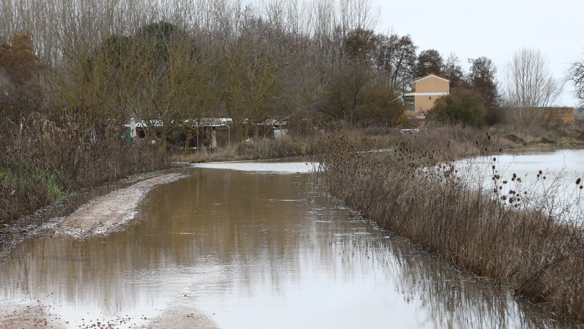 Campos anegados en la vega del río Ucieza en Amusco, en Palencia, por la borrasca Marta