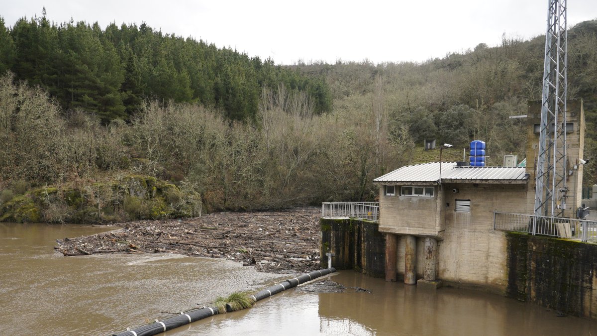 Maleza y troncos acumulados junto a la presa de Montearenas en el río Boeza en Ponferrada debido al temporal de lluvias.