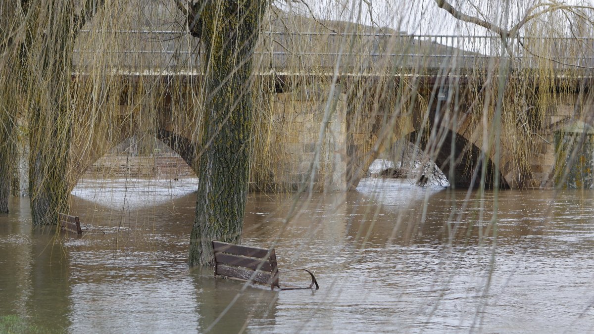 Crecida del rio Duero a su paso por Soria