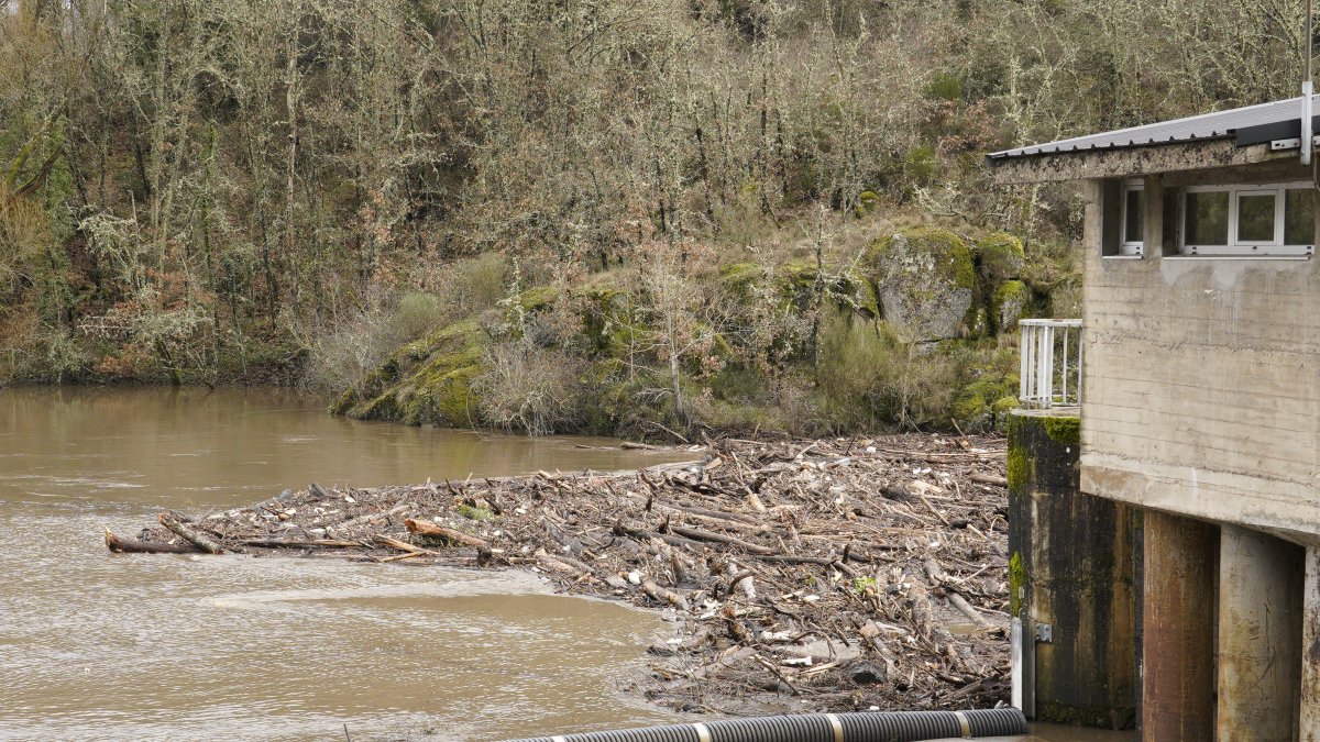 Maleza y troncos acumulados junto a la presa de Montearenas en el río Boeza en Ponferrada debido al temporal de lluvias