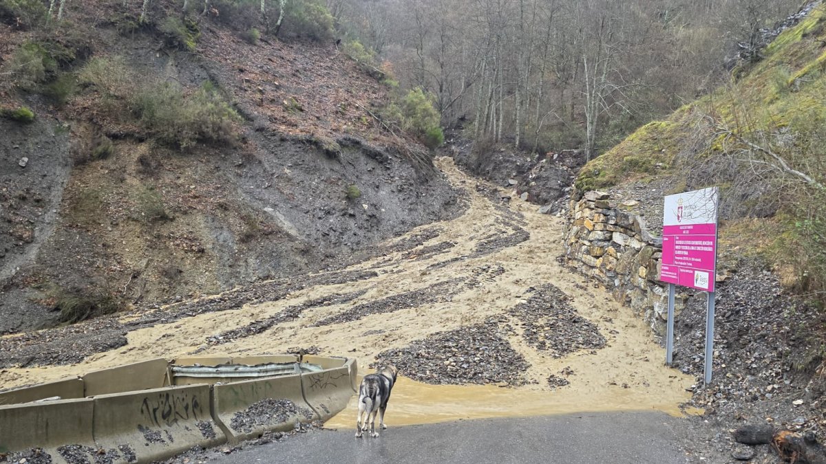 Nuevo derrumbe en la carretera de Peñalba de Santiago en León.
