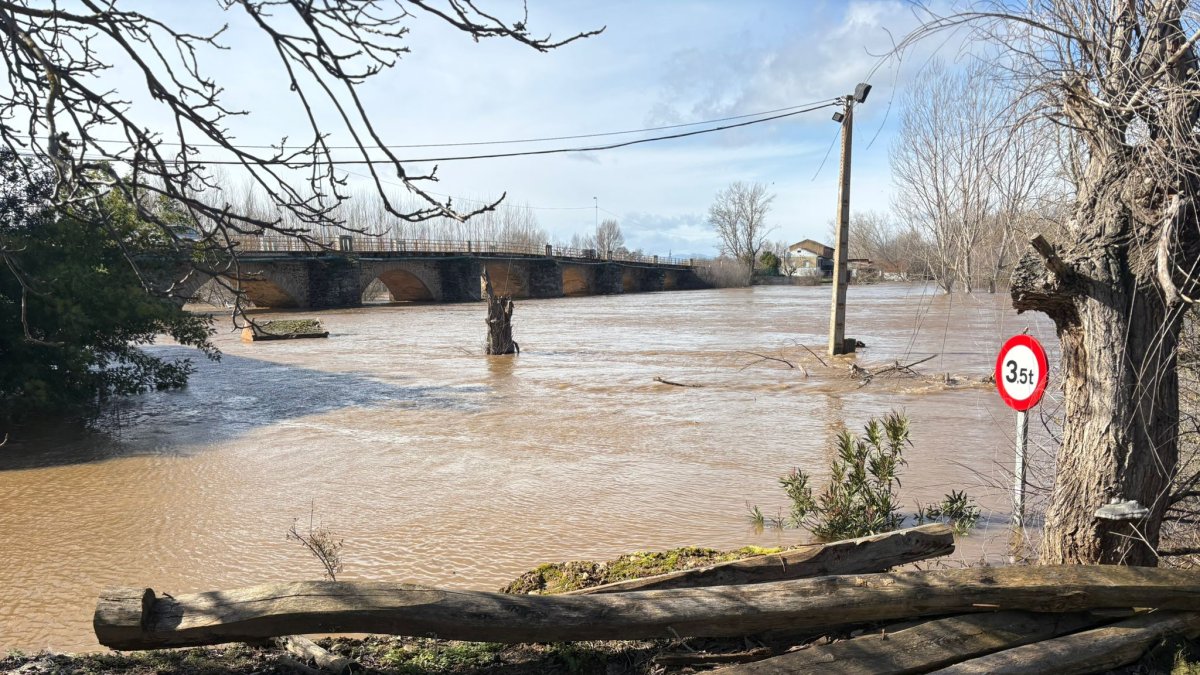 El río Órbigo a su paso por Cebrones del Río en León