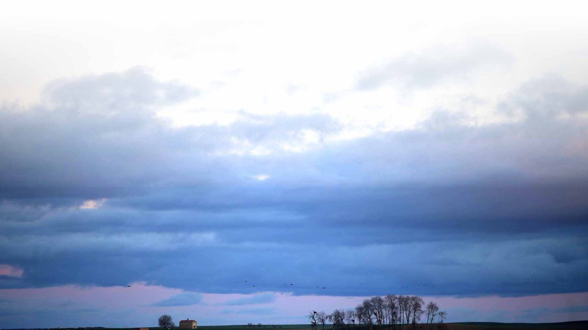 Lagunas de Villafáfila.