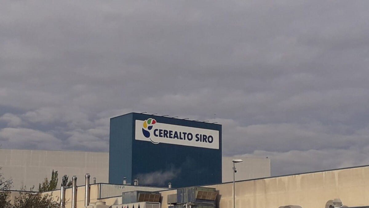 Planta de Cerealto Siro en una foto de archivo