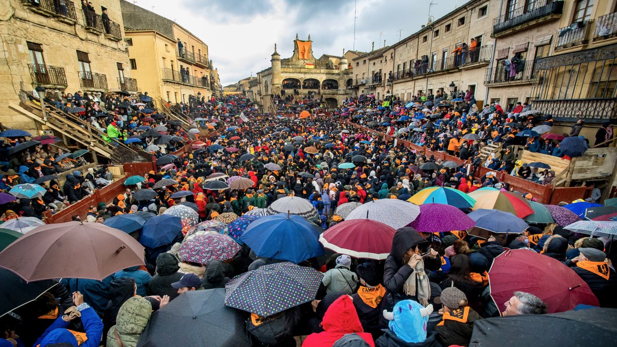 Miles de personas celebran el comienzo del Carnaval del Toro