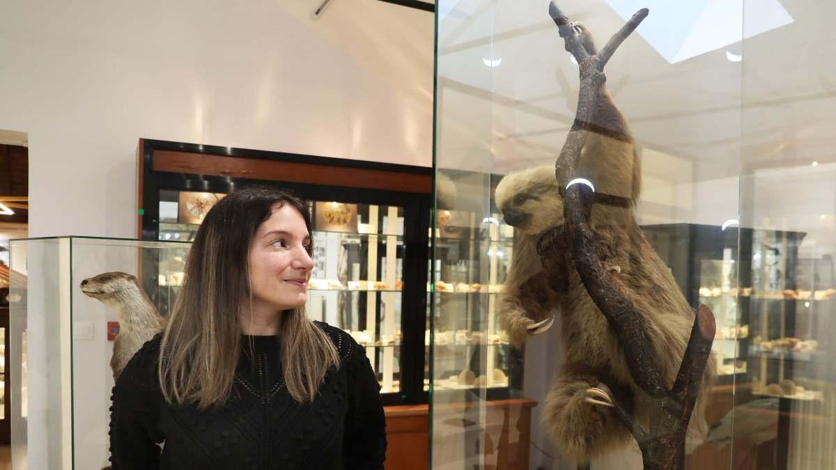 La bióloga y coordinadora de los museos, Verónica Viñas, junto a un ejemplar de Perezoso naturalizado