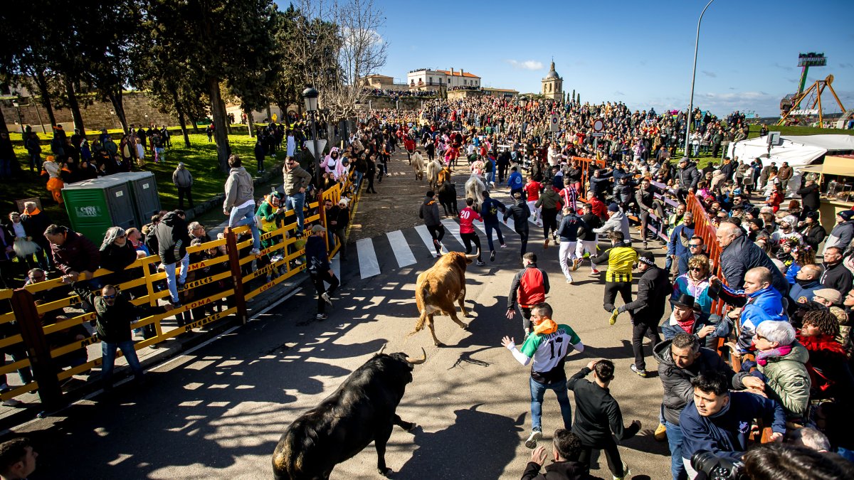 Carnaval del Toro en Ciudad Rodrigo (Salamanca)