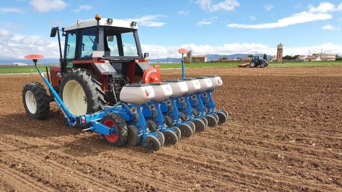 Siembra de garbanzo en la localidad segoviana de Labajos bajo, en una imagén de archivo.