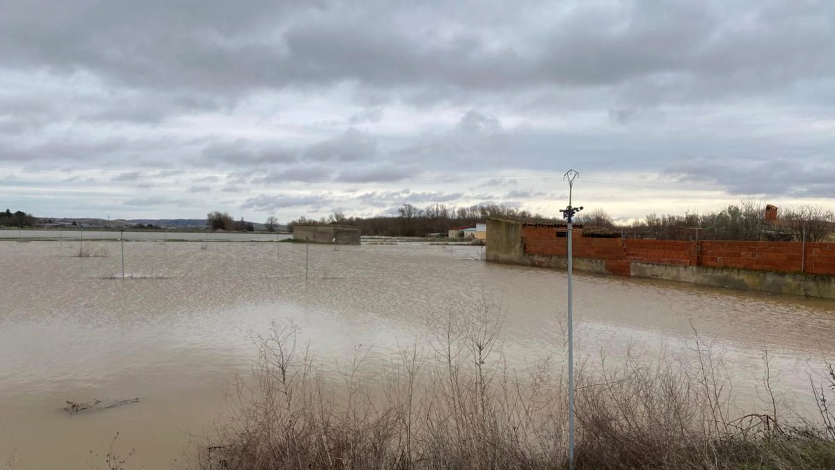 Crecida del río Duero a su paso por Toro (Zamora)