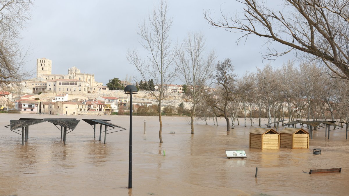 Crecida del río Duero a su paso por Zamora