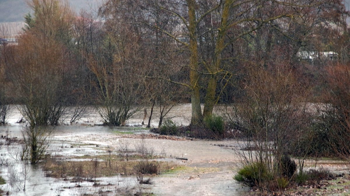 El río Órbigo se desborda en Villanueva de Carrizo (León)