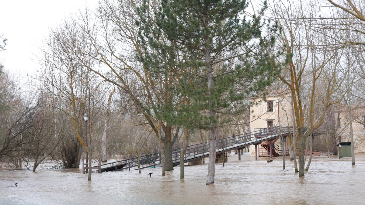 Crecida del río Duero a su paso por Zamora