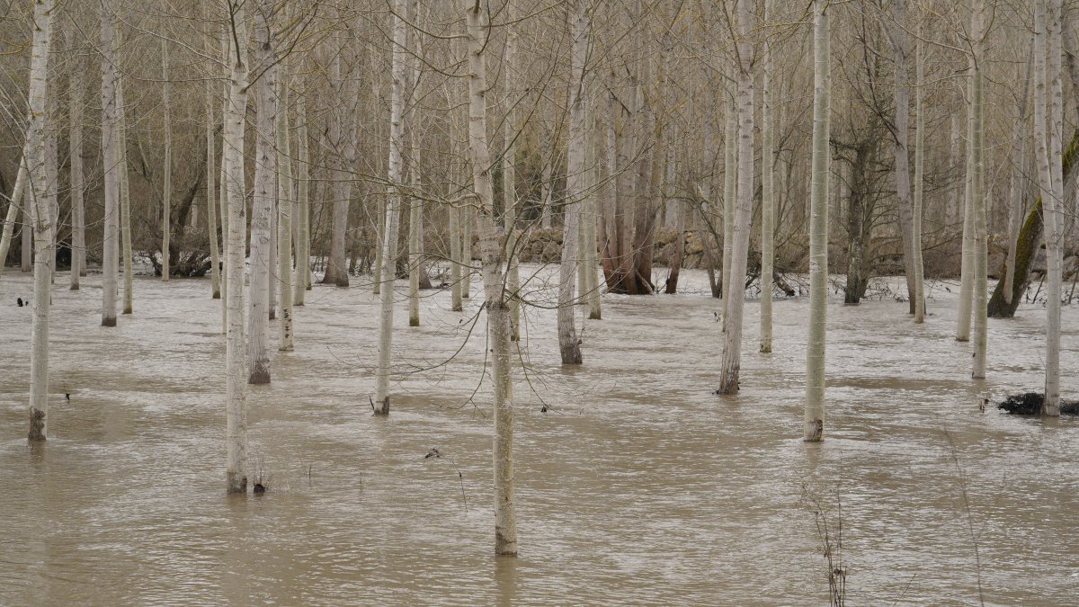 Desbordamiento de ríos en varias localidades de la comarca del Bierzo