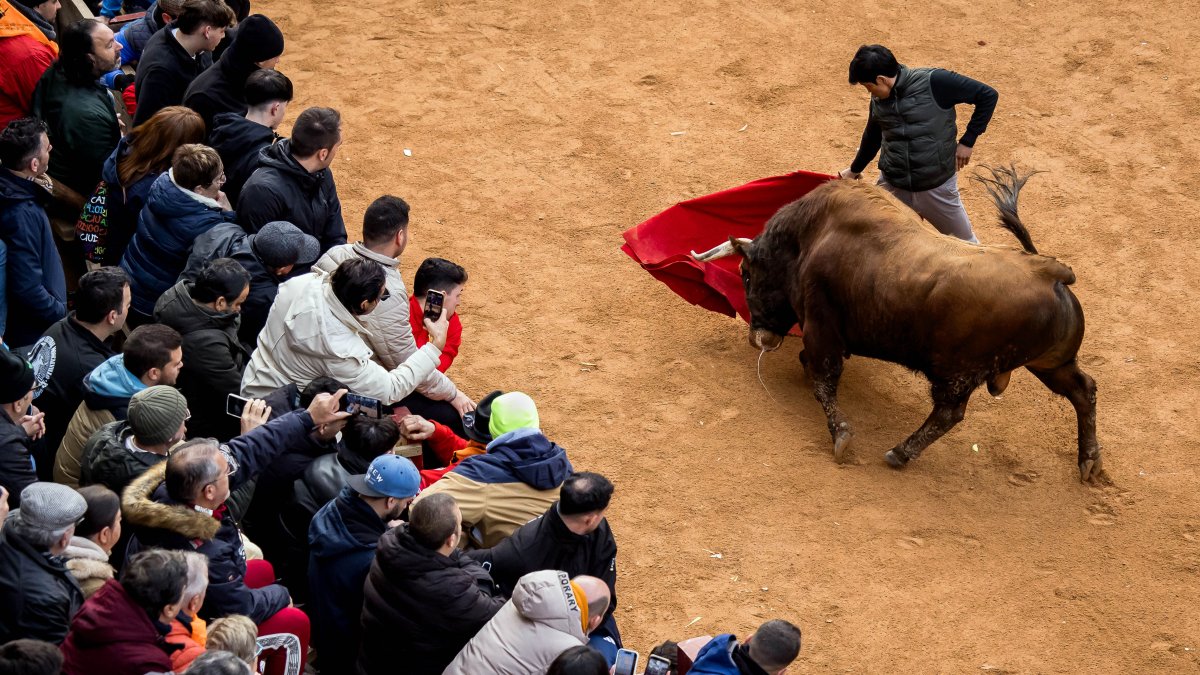 Martes del Carnaval del Toro de Ciudad Rodrigo (Salamanca)