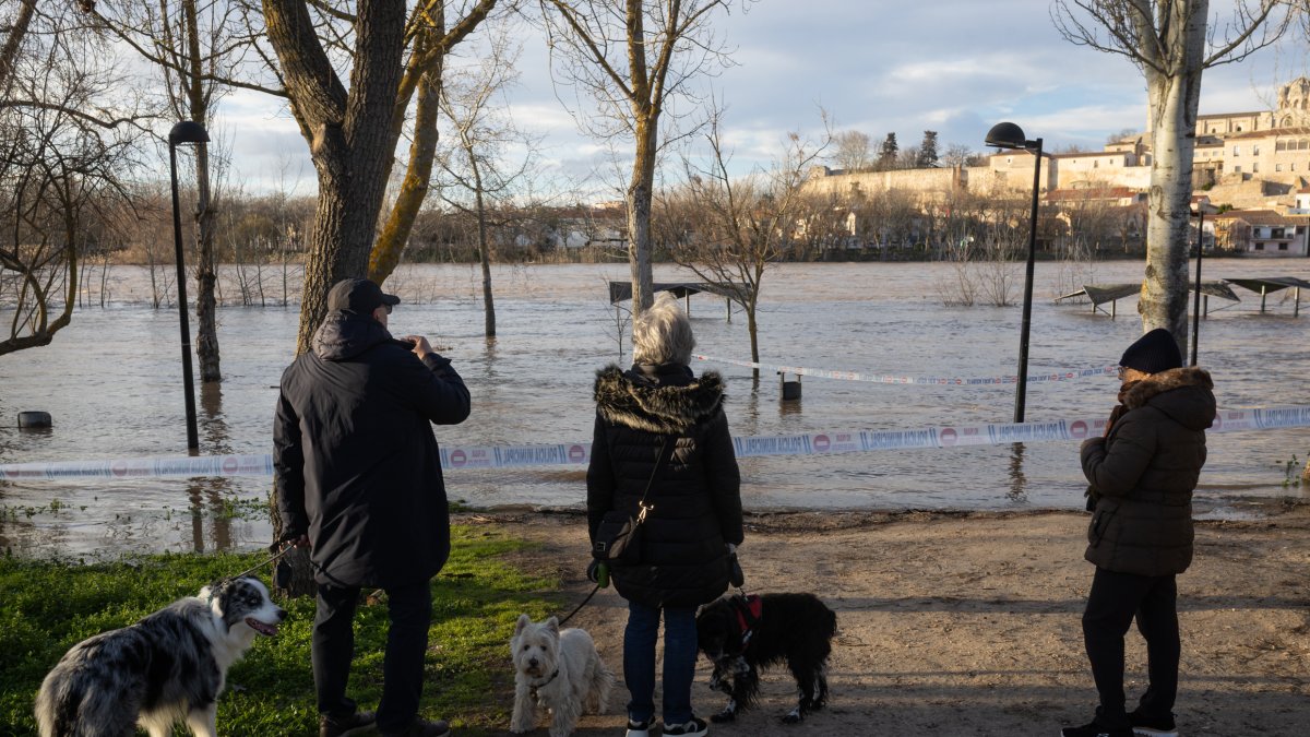 Numerosas personas se acercan a contemplar la crecida del Río Duero a su paso por Zamora