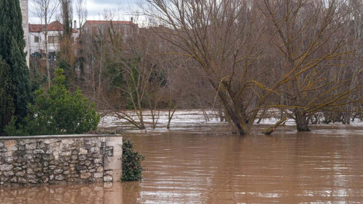 Estado del Duero a su paso por Puente Duero en Valladolid