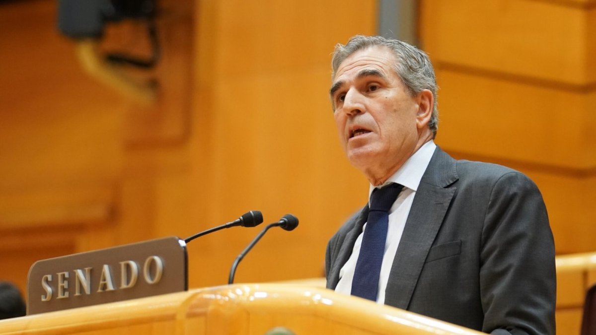 Juan José Sanz Vitorio durante su intervención en el Senado.