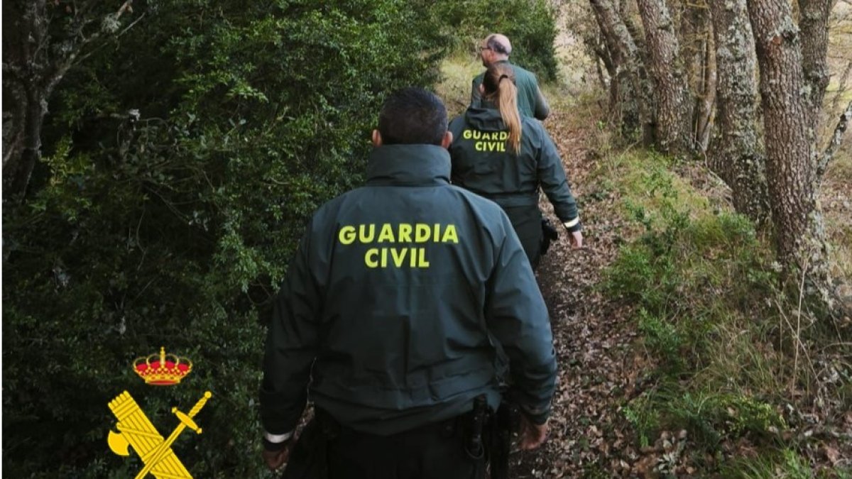 Agentes en el operativo de búsqueda.