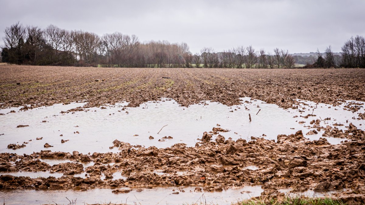 Campo de Soria anegado por las continuas lluvias.