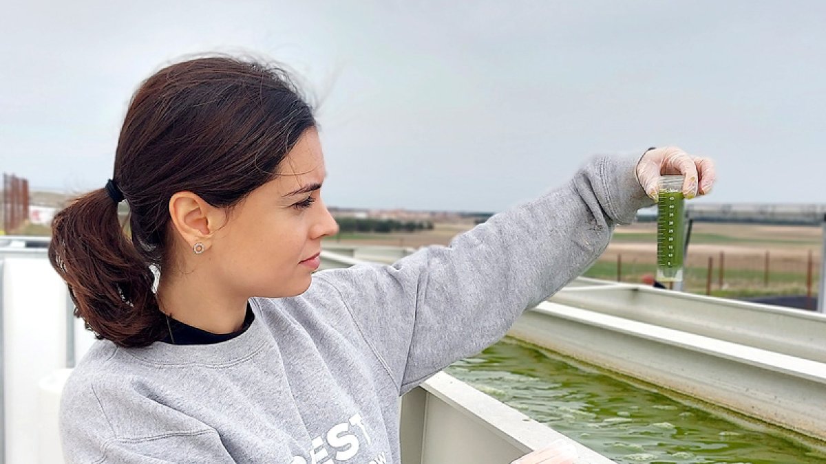 La Directora de I+D, Laura Escudero, investiga las microalgas por su efecto depurador y descontaminante.